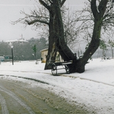 Η σκάλα και το Ιτς Καλέ χιονισμένο (αρχές ’90)